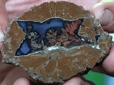 Thunderegg, Oregon’s state rock