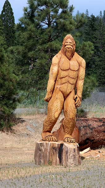 Clear Creek Klamath Basin rafting a hunky Bigfoot