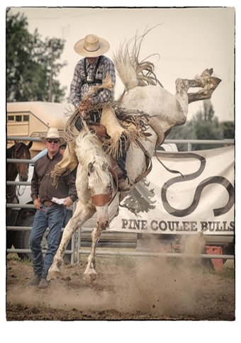 Will James Roundup Hardin Montana