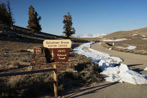 Shulman Grove entrance sign