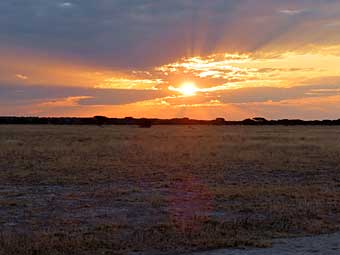 Kalahari sunset