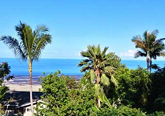 Turtle House pet-friendly-rental-Hawaii