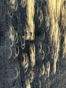 Annular eclipse shadows