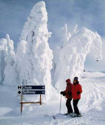 Skiers at black diamond sign