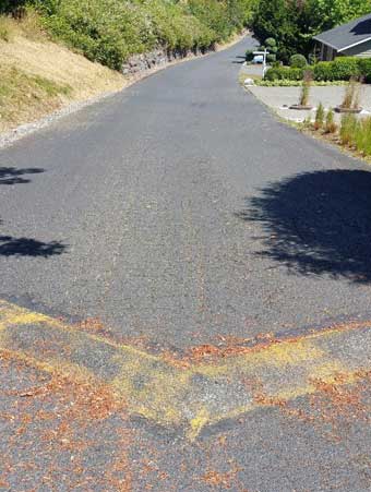 Speed bump