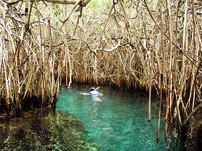 Mexico Xel Ha Lagoon snorkeling