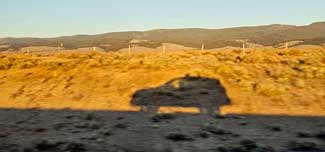 On the road in Wisdom, Montana