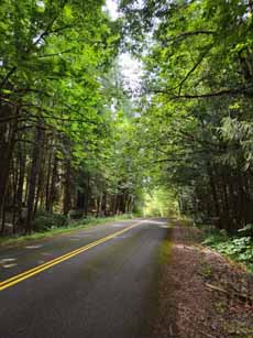 Bike Oregon, road outside Oakridge