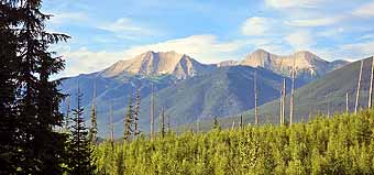 Montana Great Bear Wilderness
