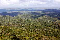 El Mirador El Peten