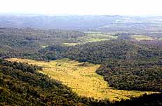 El Mirador and El Peten deforestation