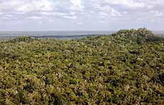 El Trigre pyramid, Guatemala