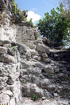 La Mirador La Danta Pyramid route to summit